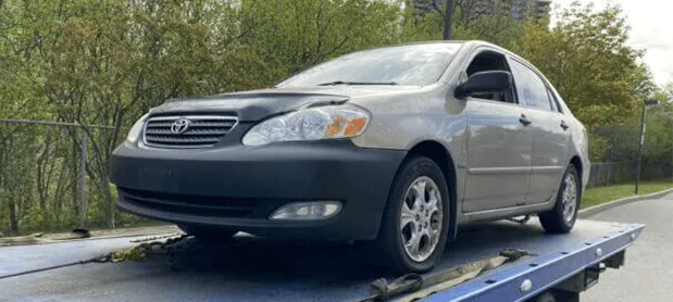 Autos verwerten in Bornheim